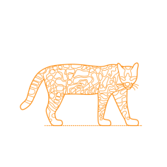 Animals Big Cats Ocelot Simple Line Art Svg, Free Vectors File
